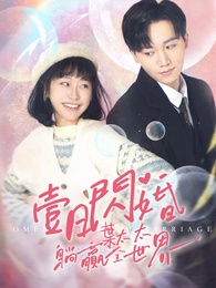 壹日閃婚,葉太太躺贏全世界