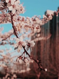 A Herdeira Oculta - Episode 1