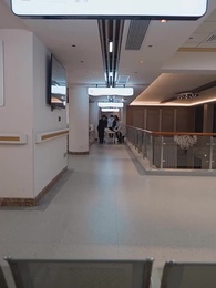 第40集 - 雙生奪愛陸總你認錯夫人了