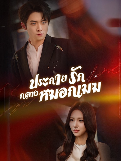 ประกายรักกลางหมอกเมฆ