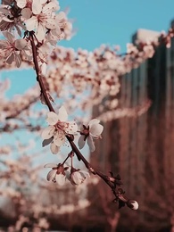 Die verborgene Erbin - Episode 1