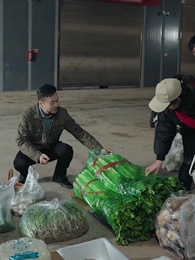 虎父無犬子 - Episode 4