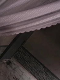 The Return of the Venomous Consort - Episode 72