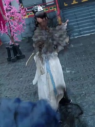 第18集 - 修煉十萬年,妳說我是雜役