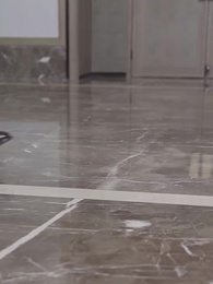 Episodio 32 - Matrimonio Lampo con il Presidente Inaspettato