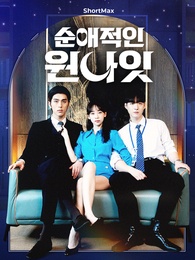 순애적인 원나잇