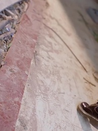 第56集 - 青青河邊草