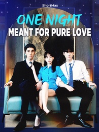 One Night Meant for Pure Love