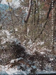 荊棘愛人 - Episode 38