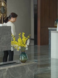 第25集 - 強勢鎖婚：傅少的啞巴新妻