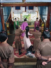 第3集 - 壹花只為壹樹開