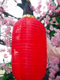 Autumn Wind Thwarts Vows of Forever - Episode 51