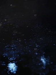 Episode 41 - Wiedergeburt: Die Prinzessin schlägt zurück