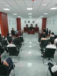 離婚後、エース弁護士の逆転勝利 - Episode 23