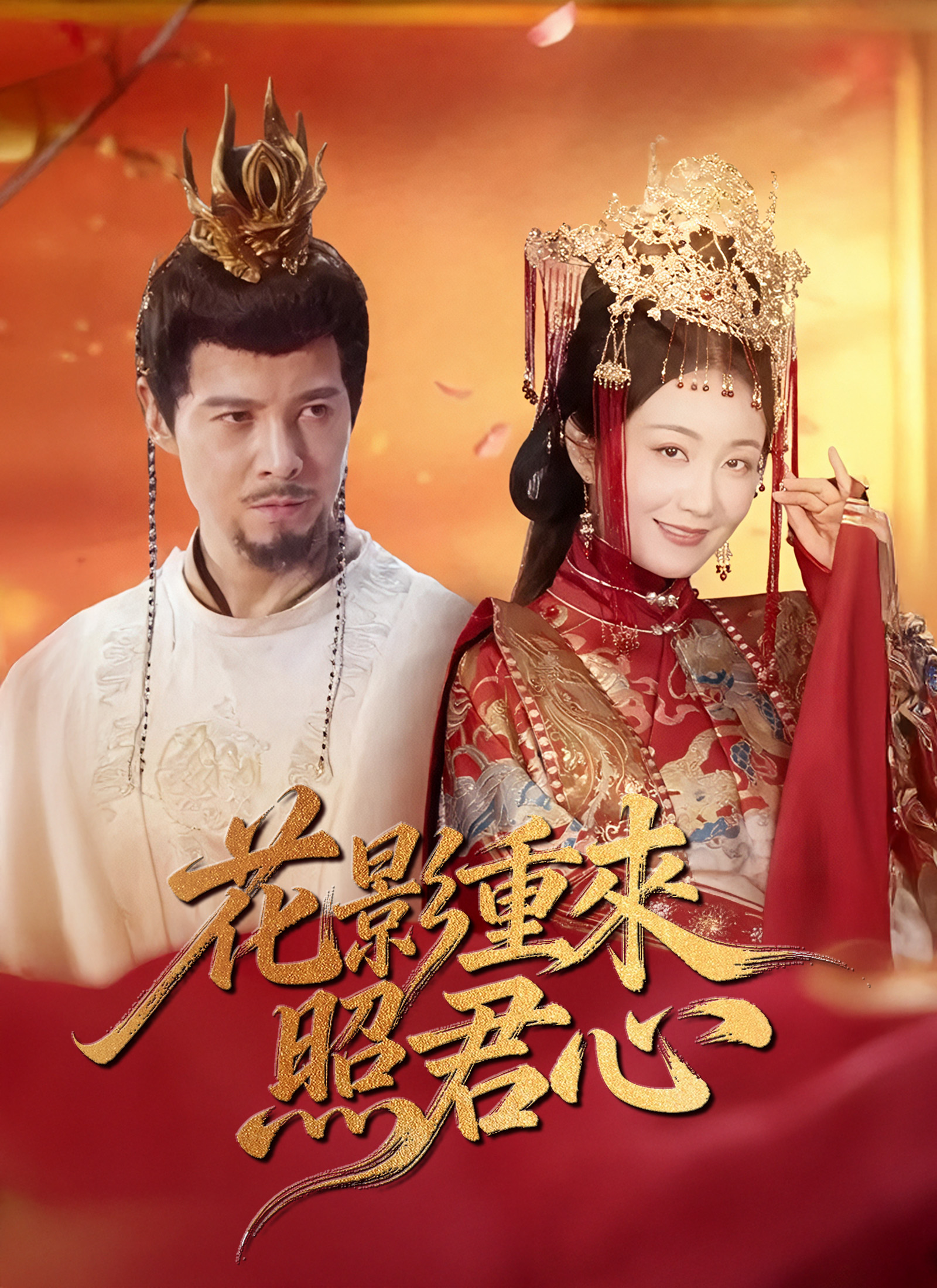 《花影重來照君心》封面