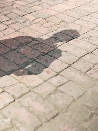 Secrets, Lies, and Rings - Episode 44