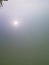 Episódio 64 - Família de Dragões: Justiça Feita