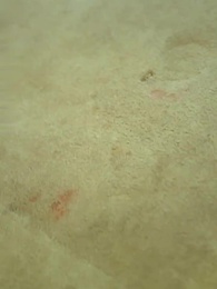 [Doblado]Veredicto Dudoso - Episode 19