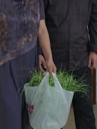 Destino Scambiato - Episode 24