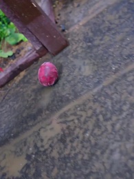  [Dubbing]Dunia Lebih Indah Dari Surga - Episode 41