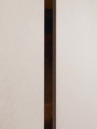 Raising a Hikikomori Heiress - Episode 1