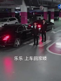 第52集 - 獨苗苗找回家,絕嗣爺爺寵上天