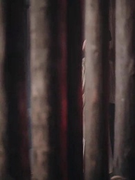 第58集 - 花影重來照君心