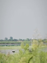 第2集 - 我兒子被大佬盯上了