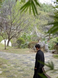 第65集 - 成仙在即，師父拿出百封婚書