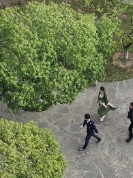 第2集 - 成仙在即,師父拿出百封婚書