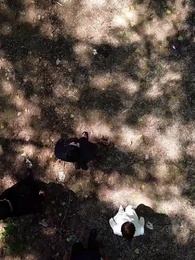 51화 - 귀환과 감사