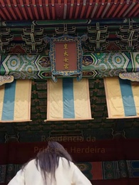 Episódio 86 - Reencontro com Meus Maridos