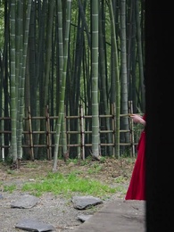 Episode 7 - Sang Maharani Jadi Muridku?