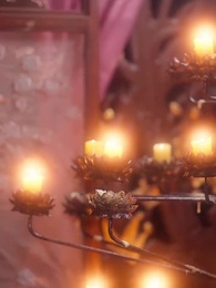 第42集 - 花影重來照君心