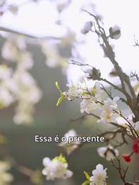 Episódio 11 - Reencontro com Meus Maridos