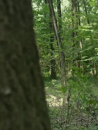 Episodio 67 - [Doblado]La Historia de un Místico