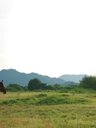 三個竹馬棄娶，我轉身嫁太子 - Episode 56