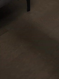 第21集 - 驕陽照我