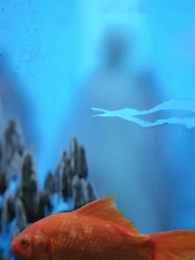 Long Linh Hiển Ứng - Episode 2