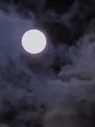  [Dubbing]Romansa di Balik Mekar - Episode 46