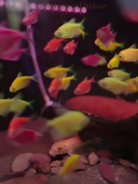 พันธะรัก - Episode 25