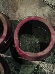 Episode 42 - The Enchanted Concubine