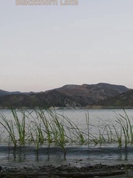 Bölüm 1 - Taht ve Büyü
