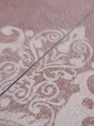 鳳鳴於野 - Episode 40