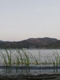 MAGIC EX: RĂNG NANH và MÓNG vuốt đều say mê TÔI - Episode 1