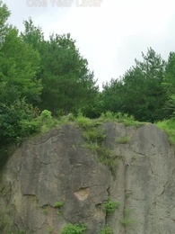 Episode 2 - [Dubbed]From Fisherwoman to Emperor's Mother