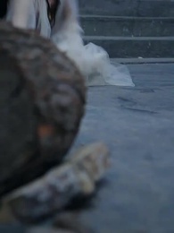 El Rey Dragón: ¿Diosa o Esposa? - Episode 53