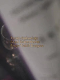 Bölüm 17 - Kader Oyunu