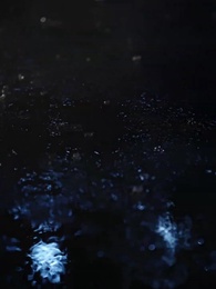 [吹替]裏切りの先の幸せ～姫様の華麗なる転生 - Episode 41