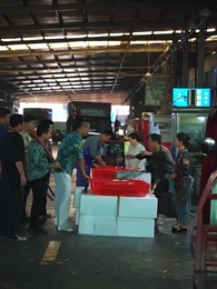 Hoa Hồng Rực Lửa - Episode 7